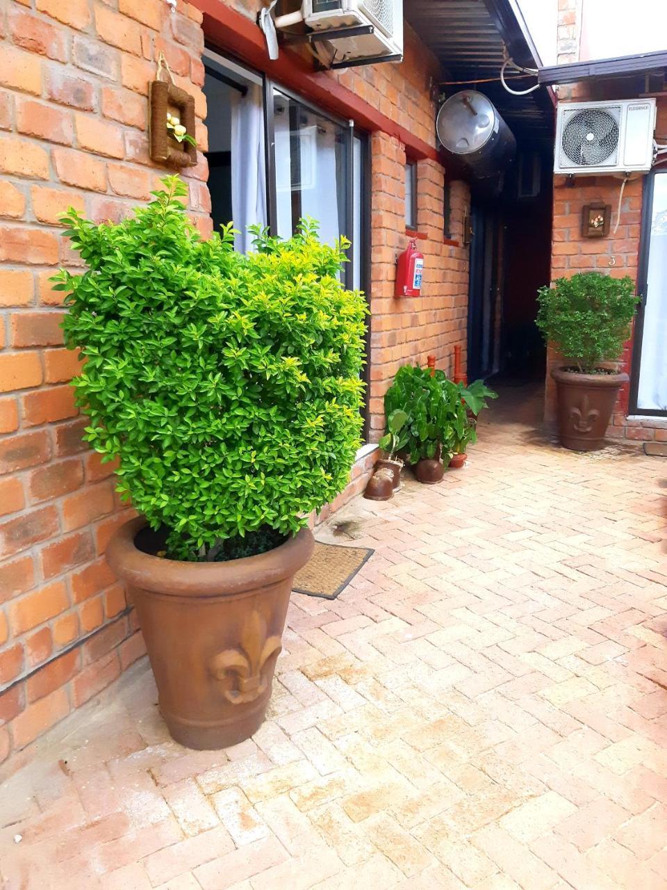Niilo'S Guesthouse Rundu Bagian luar foto